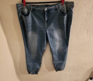Laurie Felt Jogger Jean Knit 3X